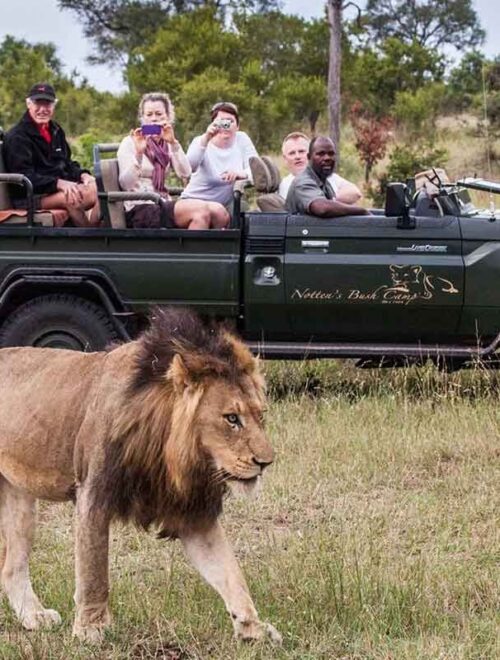 South Africa Grand Experience – August 2026