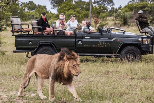 South Africa Grand Experience – August 2026