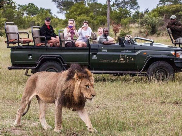 South Africa Grand Experience – August 2026