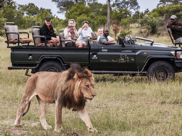 South Africa Grand Experience – August 2026